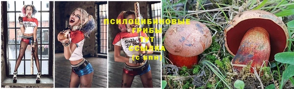 таблы Иннополис