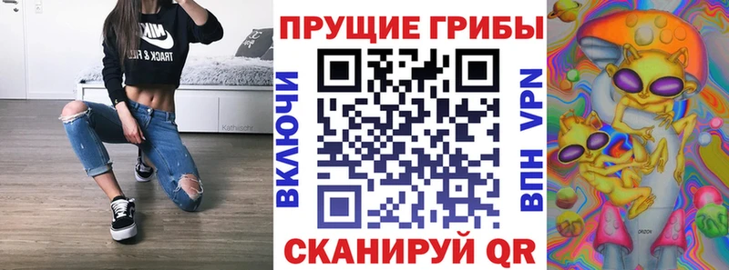 Купить закладки  Ермолино  Галлюциногенные грибы GOLDEN TEACHER 